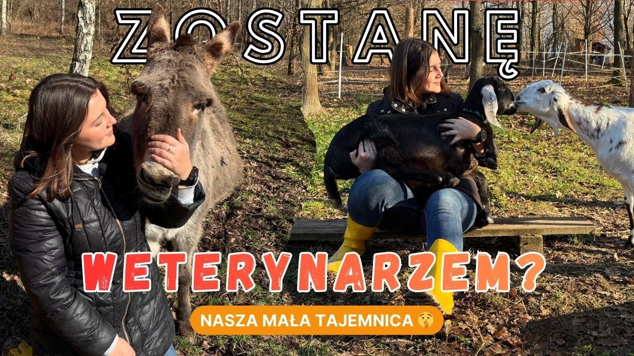ZDRADZAMY SEKRET 🤫 Dusia poszła na weterynarię? | Pastwisko, ogrodzenia i wiosenne galopy.
