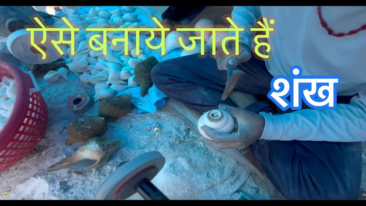 शंख कैसे बनता है ? | How A Conch Shell Is Formed  | Shankh Kaise Banta Hai