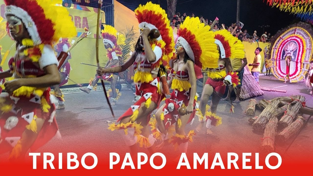 Tribo Indígena Papo Amarelo 2024  Desfile Oficial  Carnaval Tradição de João Pessoa   #PAPOAMARELO