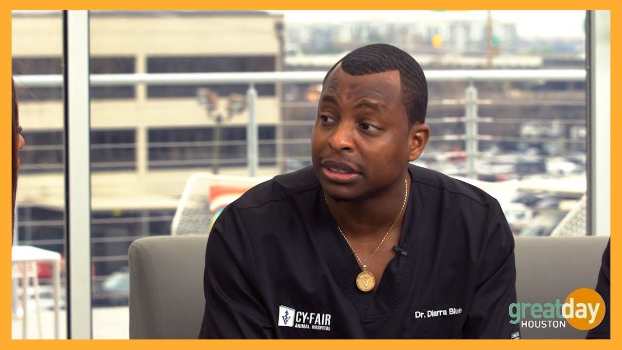 Veterinarians from &ldquo;The Vet Life&rdquo;