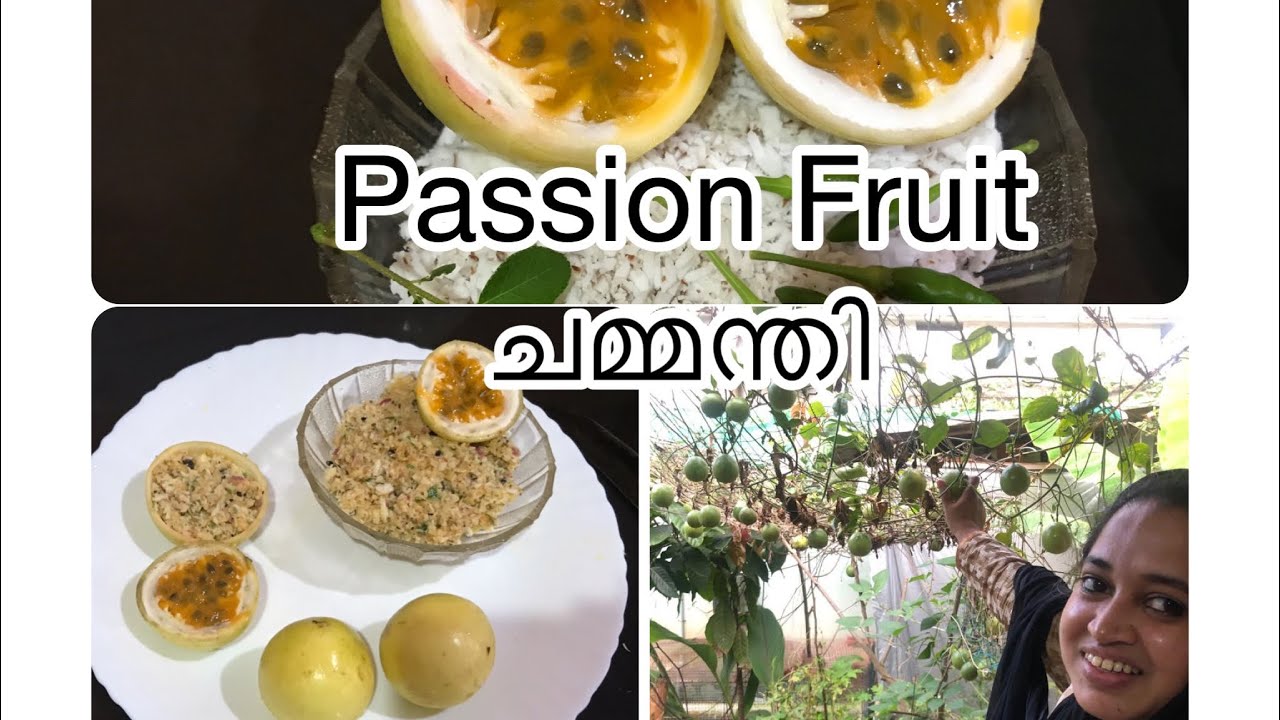 Passion Fruit ചമ്മന്തി | Umaiban Shameej