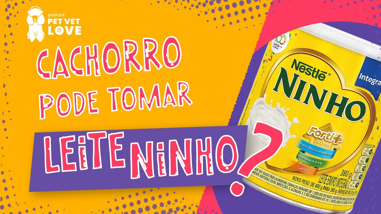 CACHORRO PODE TOMAR LEITE NINHO?