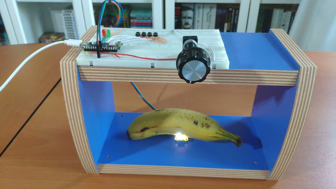 Vegetables and Fruits Ripeness Detection by Color w/ TensorFlow