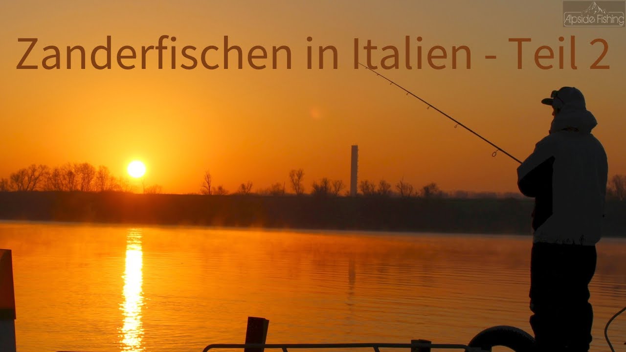 Zanderfischen in Italien - Teil 2 : Großzander & Waller mit +80kg