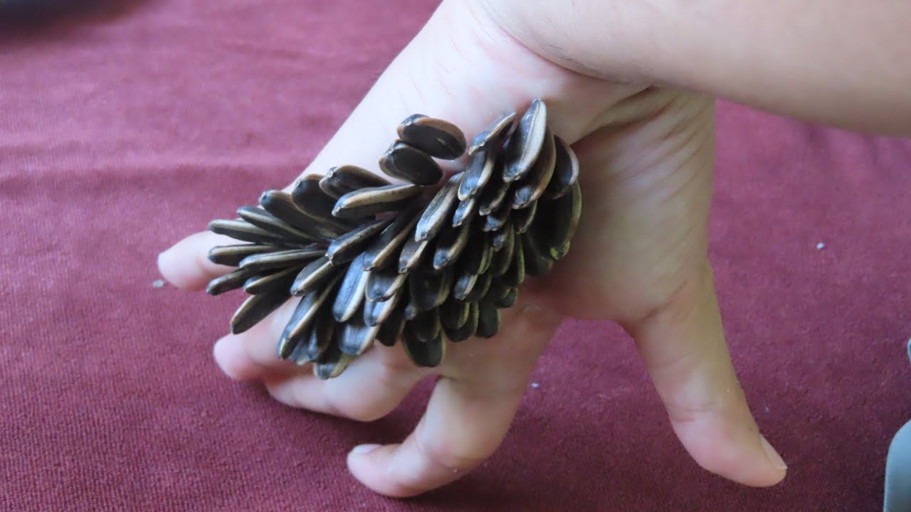 Wow, Too big ticks style have been removed from hands man | Designed from sunflower seeds