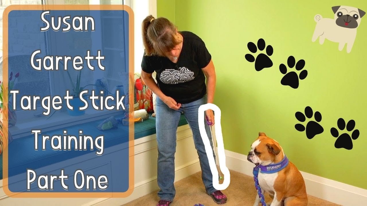 Susan Garrett's Target Stick Training for Dogs Part One - All About Targeting