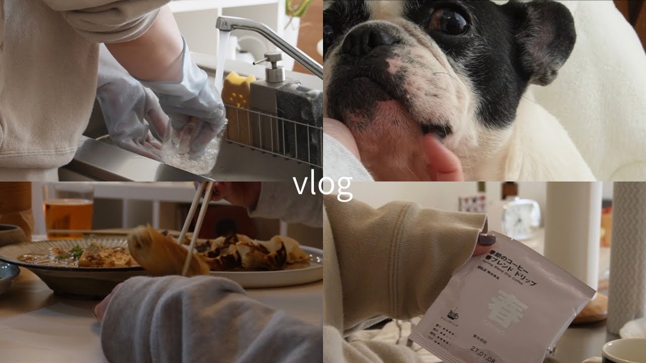 【vlog】一軒家ひとり暮らし｜お家を整えて、料理を楽しむ休日🥟🧁🍽️