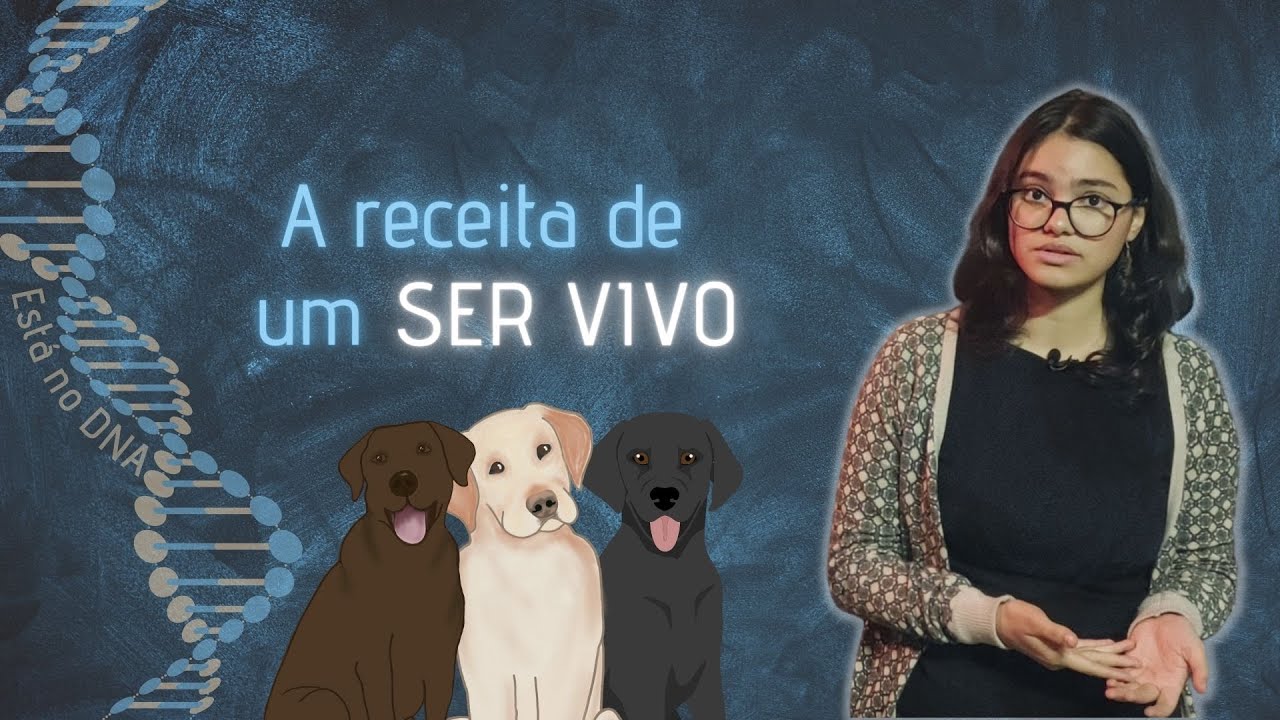 Como o DNA pode determinar as características dos seres vivos?