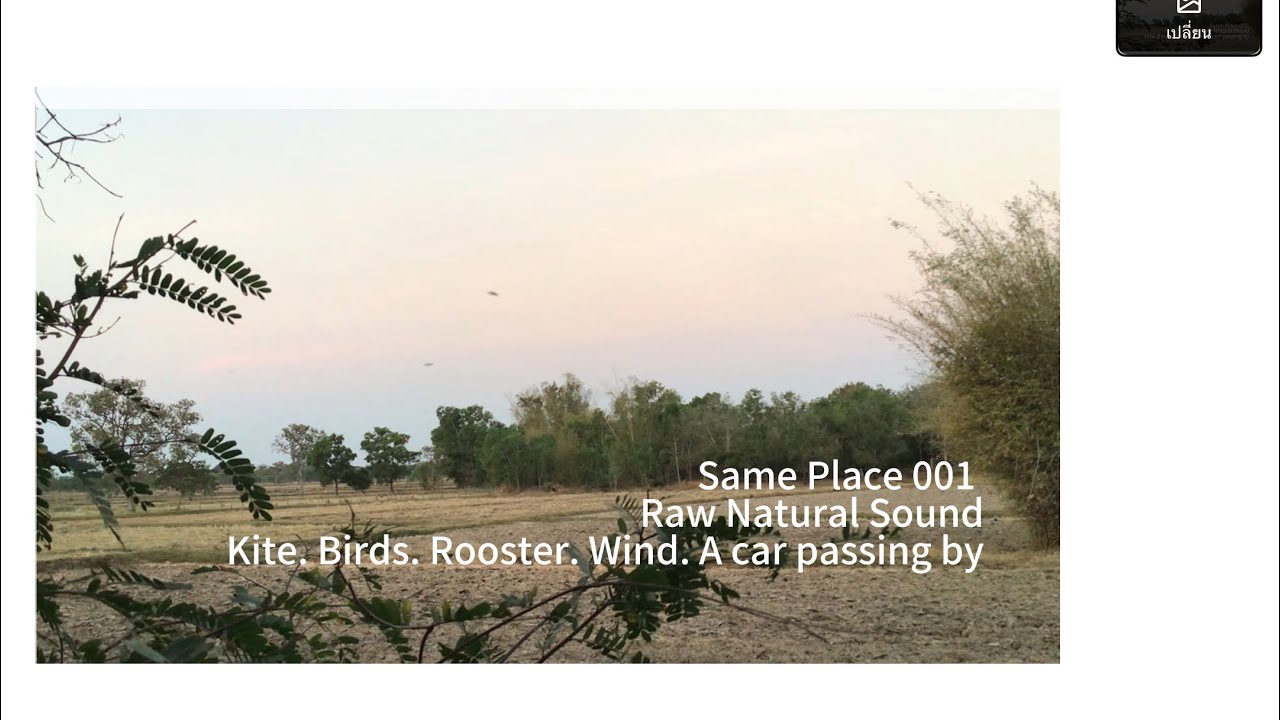 Same Place 001 | Morning Atmosphere