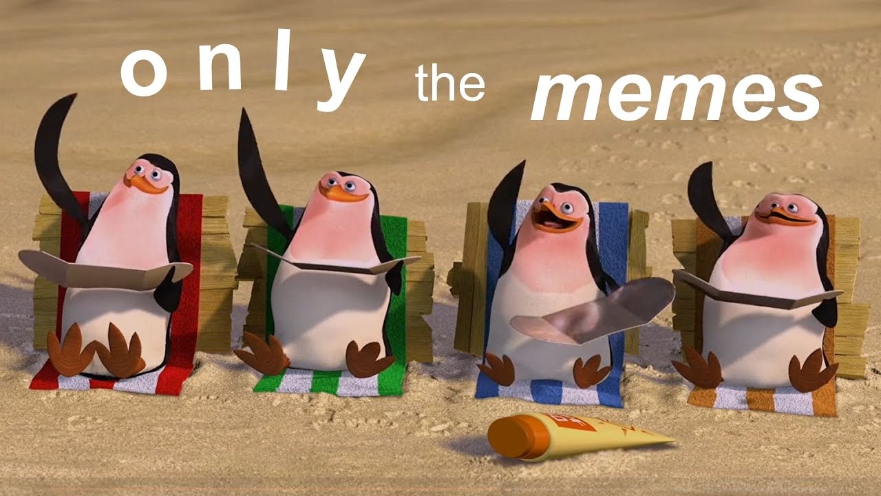 madagascar except it's just the memes