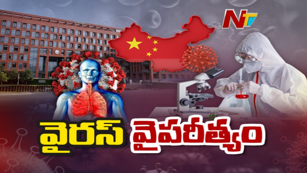 Special Focus on Coronavirus Origin | Ntv Story Board