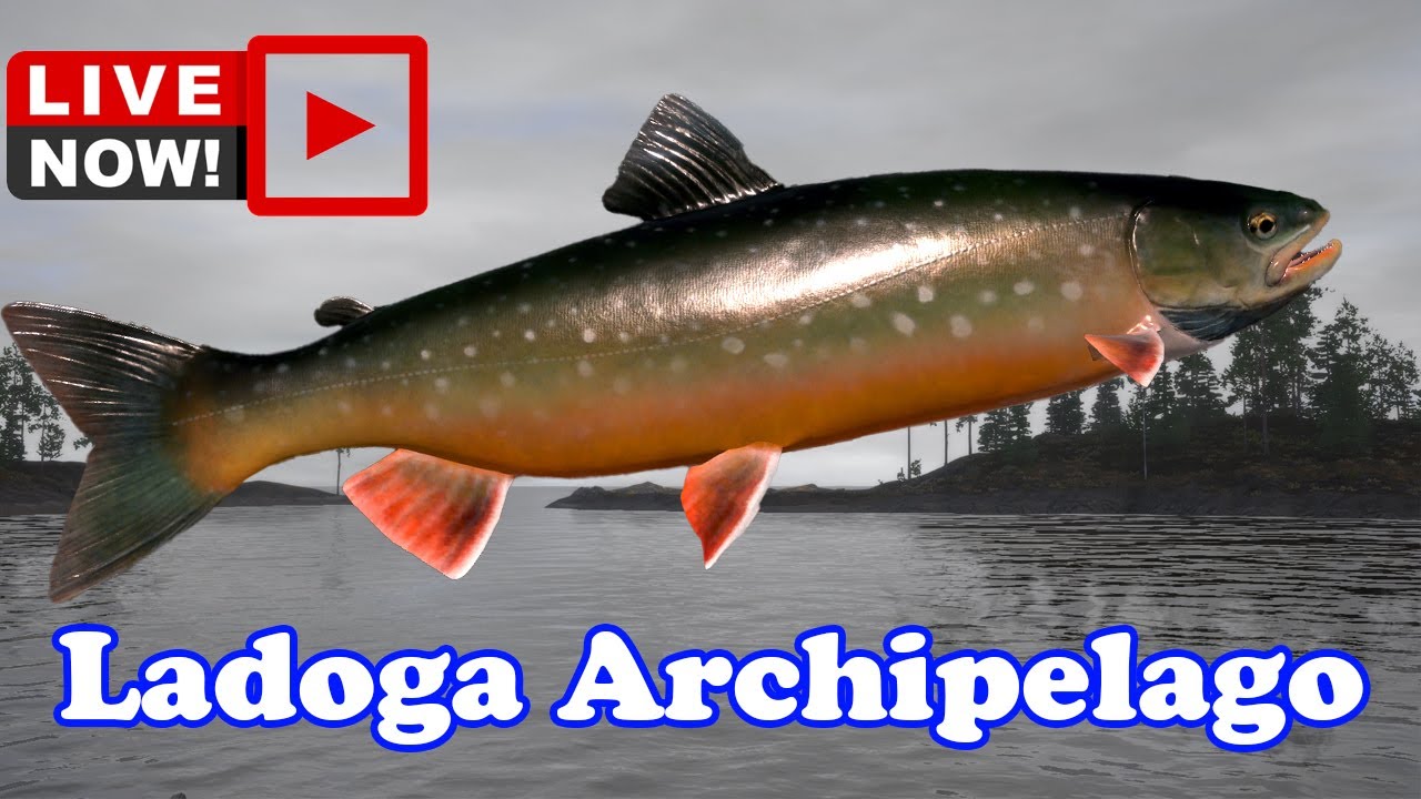 Ladoga Archipelago - Char/Red Char - LIVE - Russian Fishing 4 - RF4