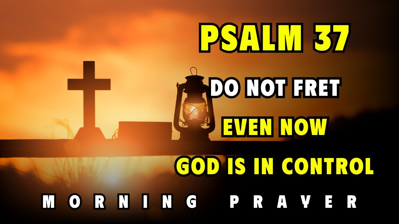 Psalm 37 — Morning Peace Prayer: Teach Me to Trust, Not Panic