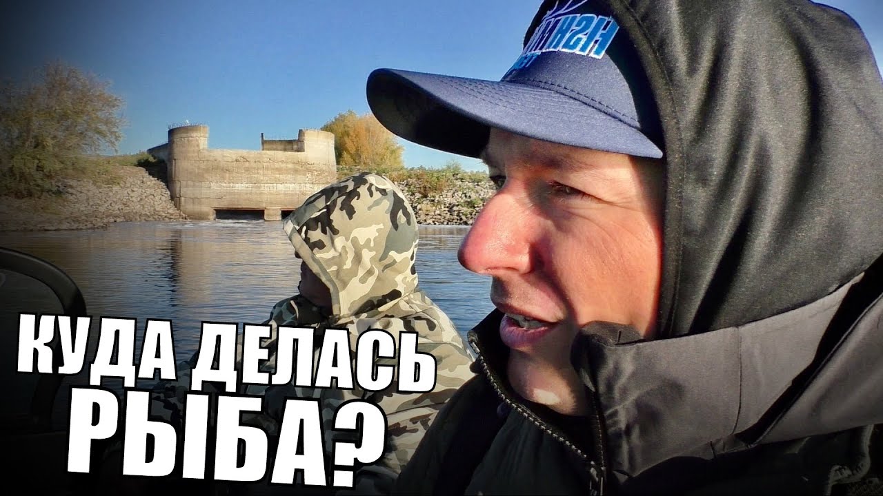 Почему на Волге стало так мало рыбы? По Волгограду на лодке с ихтиологом