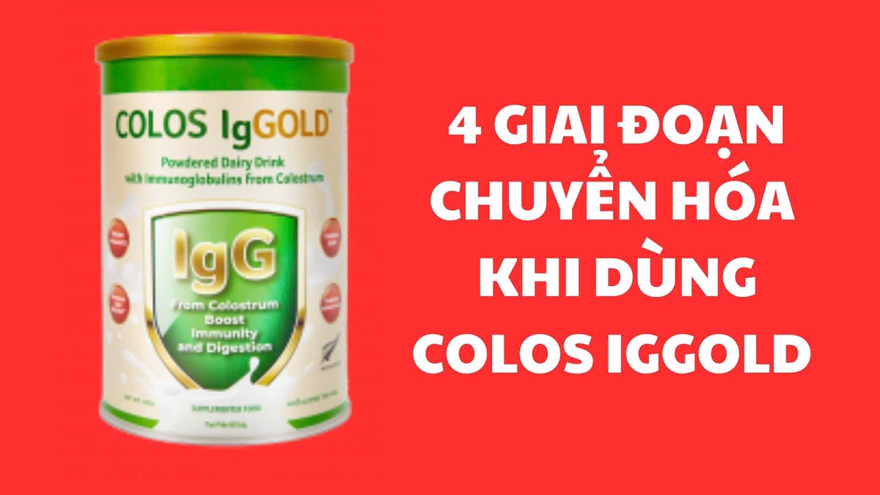 4 Giai đoạn chuyển Hóa của Colos IgGold đến từ New Zealand