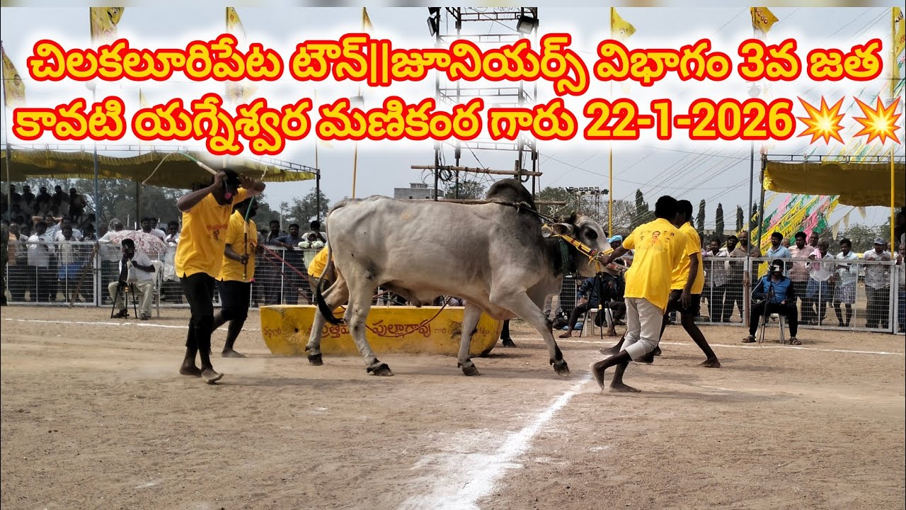 చిలకలూరిపేట టౌన్||జూనియర్స్ విభాగం 3వ జత కావటి యగ్నేశ్వర మణికంఠ గారు 22-1-2026💥💥