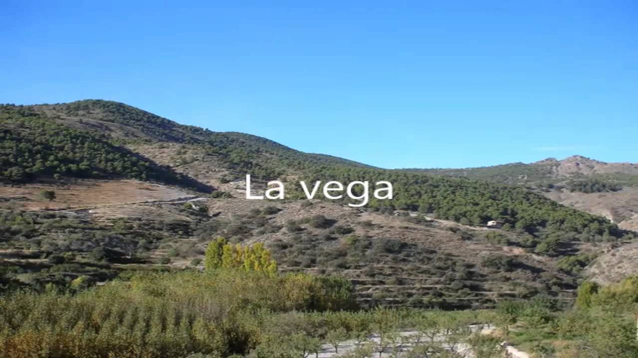 BAYARQUE