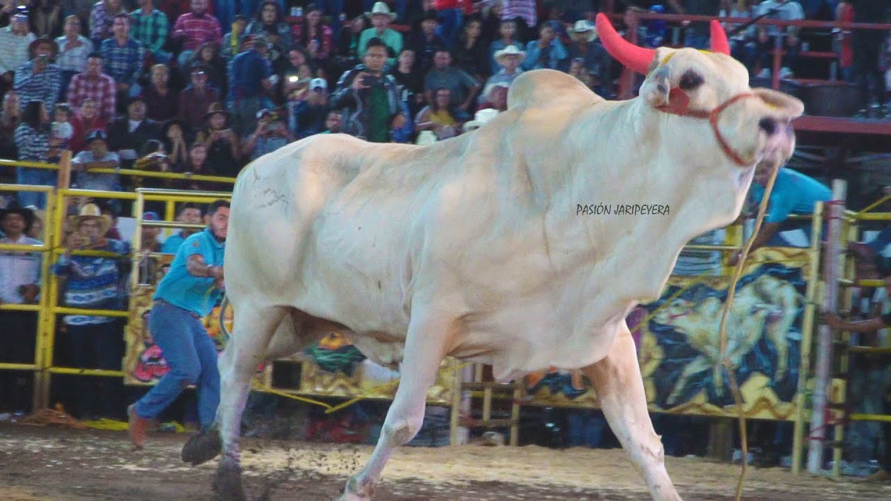 🔴 LOS DESTRUCTORES en Vivo 🔴 Atapaneo Michoacán 28 diciembre 2025 | Jaripeo Completo