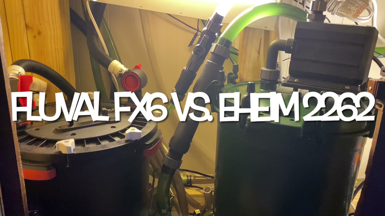 Fluval FX 6 vs Eheim 2262 Flow