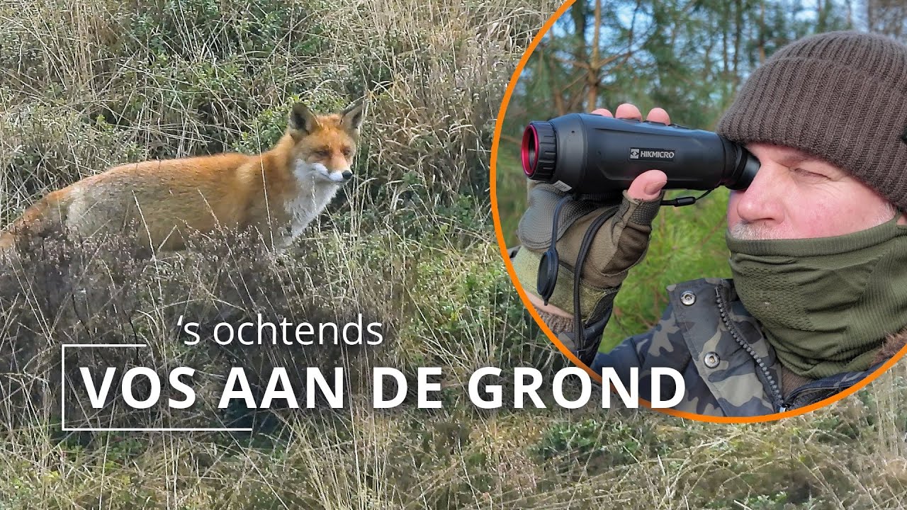 #131 - 'S OCHTENDS VOS AAN DE GROND