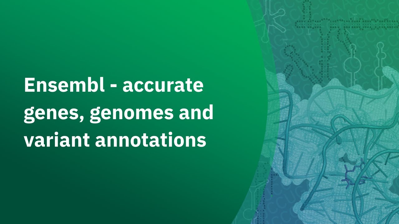Ensembl - accurate genes, genomes and variant annotations