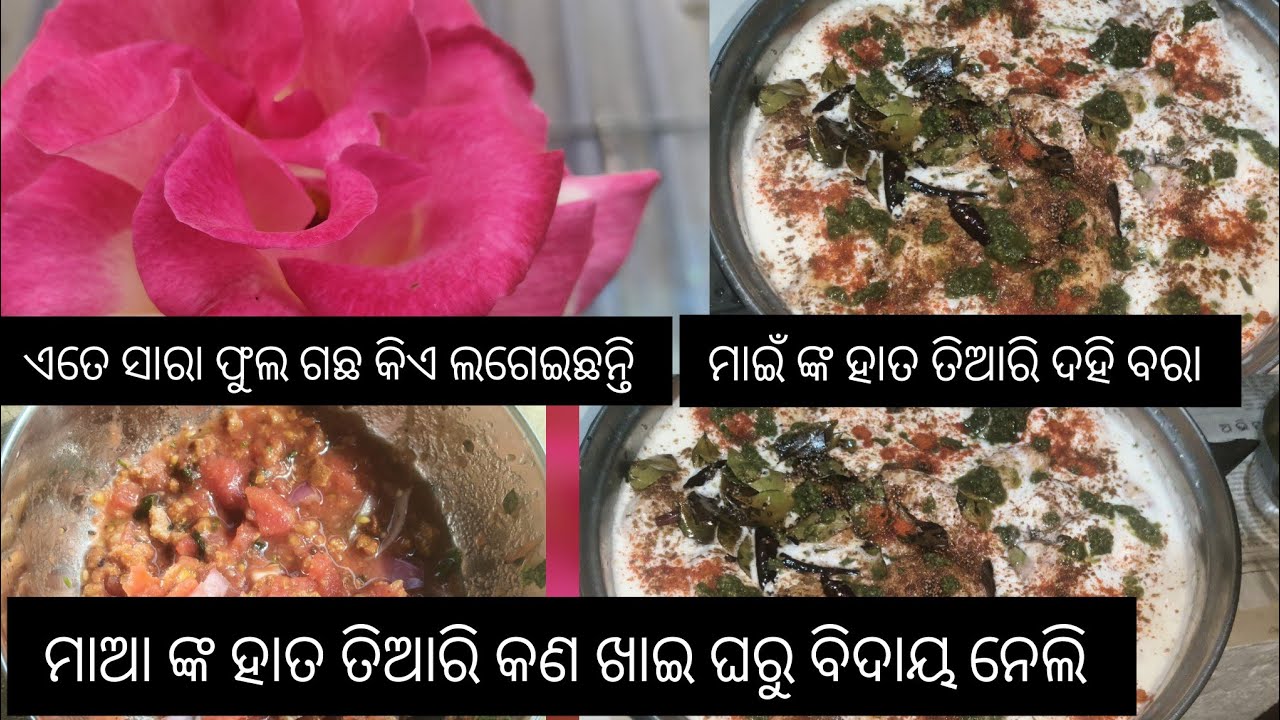 ମାଆ ଙ୍କ ହାତ ତିଆରି କଣ ଖାଇ ଘରୁ ବିଦାୟ ନେଲି 