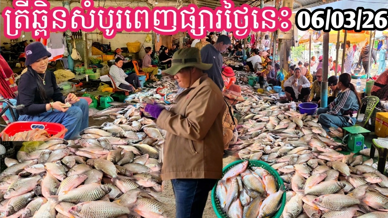 ផ្សារពន្លៃ នៅតែសម្បូរត្រីថ្ងៃនេះ ខ្លាំងត្រីឆ្ពិននឹងច្រកែង... || TAT SOKKΕΑ - ΚΗ [Ep. 1171]