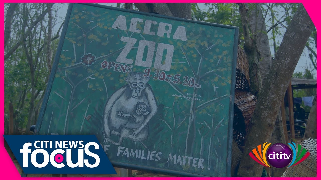Citi News Focus: Accra’s forgotten Zoo in Achimota forest