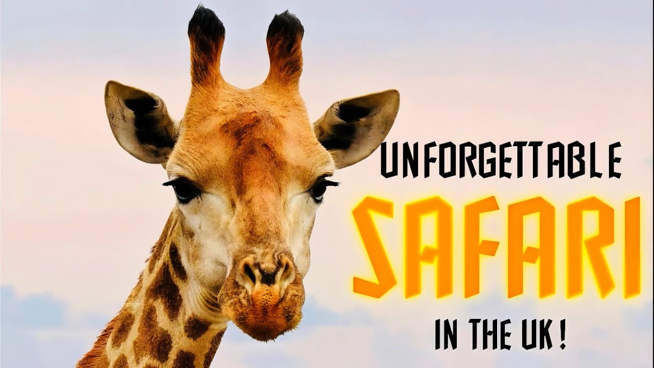 PORT LYMPNE Wild Animal Park & Safari 2025
