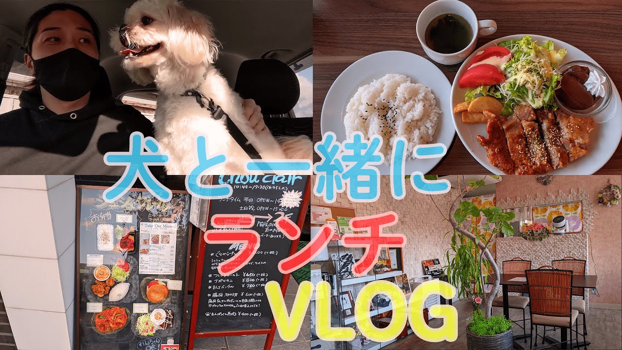 【フリーランス】犬OKランチの旅 in 神奈川 #2 chou2clairさん【平日ルーティン/VLOG】