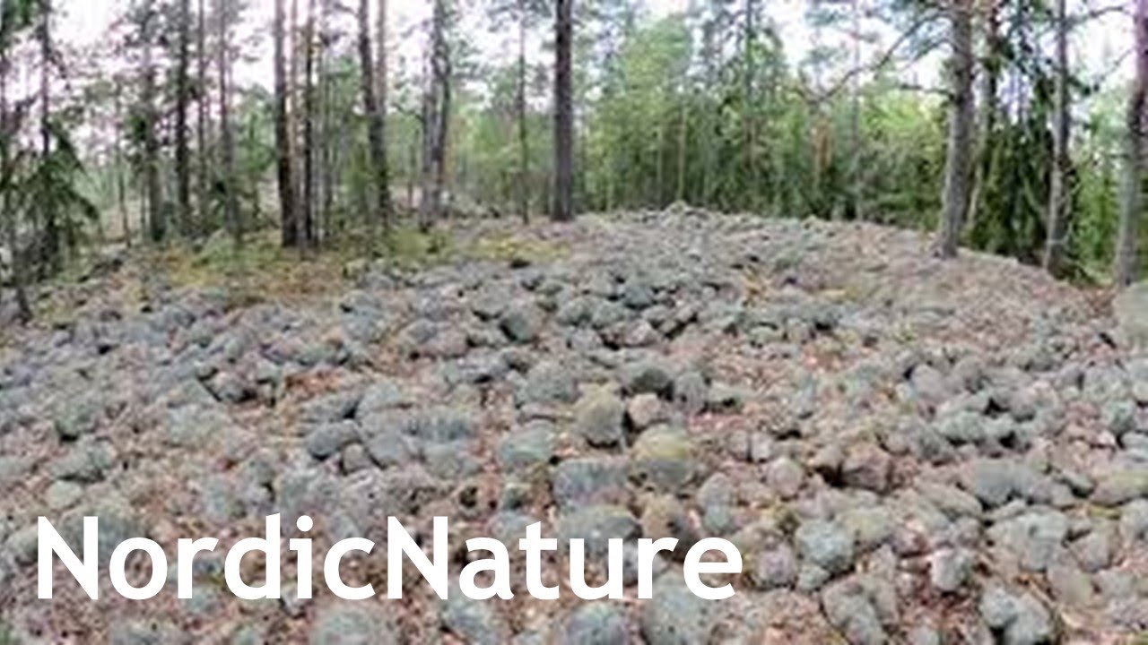Shingle beach (ancient shoreline) due to post-glacial rebound, 