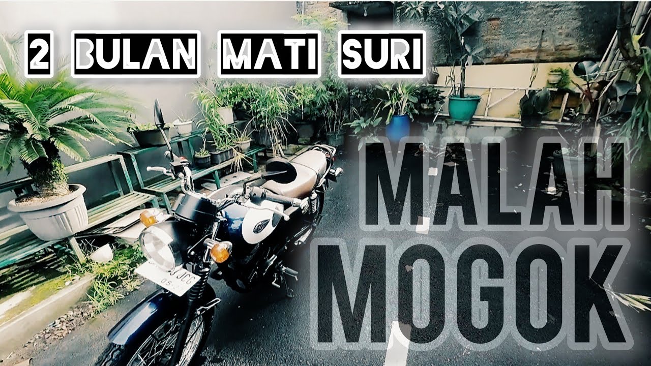KAWASAKI W 175 SETELAH DUA BULAN MANGKRAK| @Kawasaki_Indonesia @Otodriver 