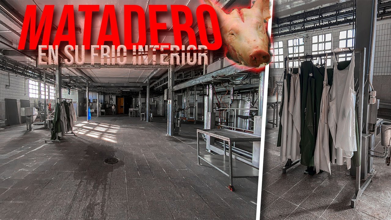 El INFIERNO de los ANIMALES | MATADERO ABANDONADO!!