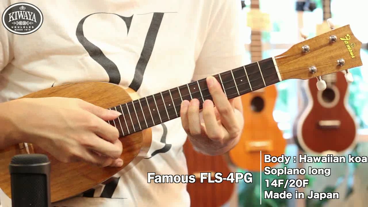KIWAYA 商品紹介 &rdquo; Famous FLS-4PG