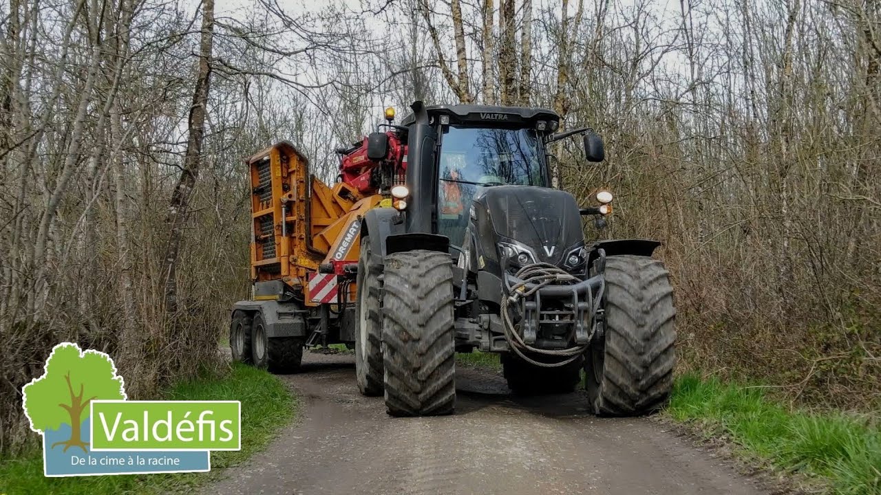 🇲🇫 Broyage de Bois au Cœur du Marais Poitevin avec la Société Valdéfis 🌲🚜