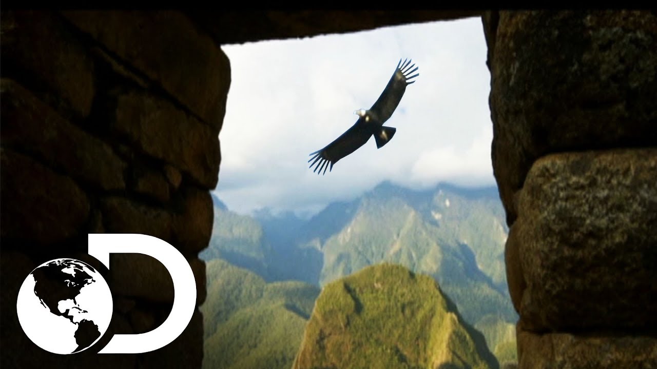 Macchu Picchu: A cidade perdida dos Incas | Am&eacute;rica Latina Selvagem | Discovery Brasil