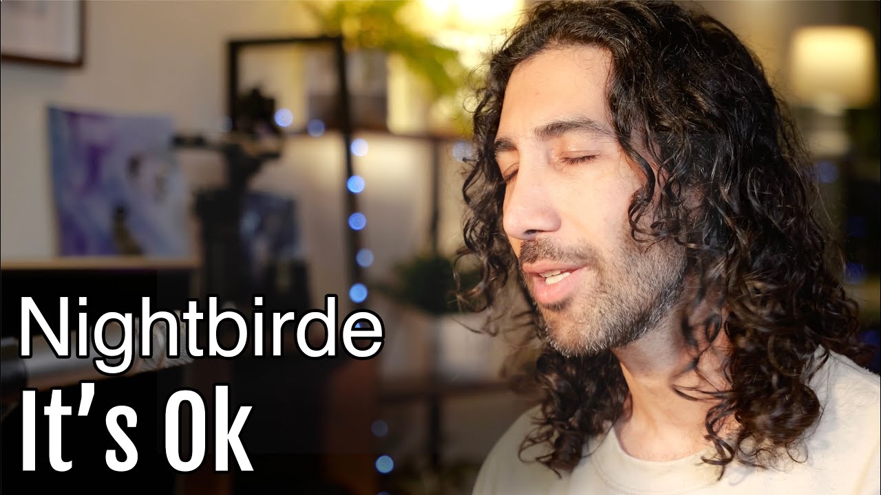 Nightbirde - It's Ok (Cover by Ehsan Imani)