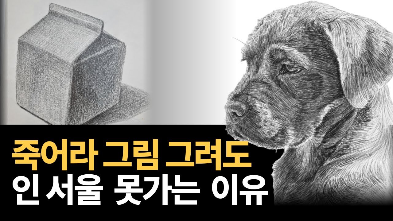 미대 입시 이런 사람만 살아 남습니다! 입시 미술은 사람이 할 짓이 아닙니다(비 실기 추천)