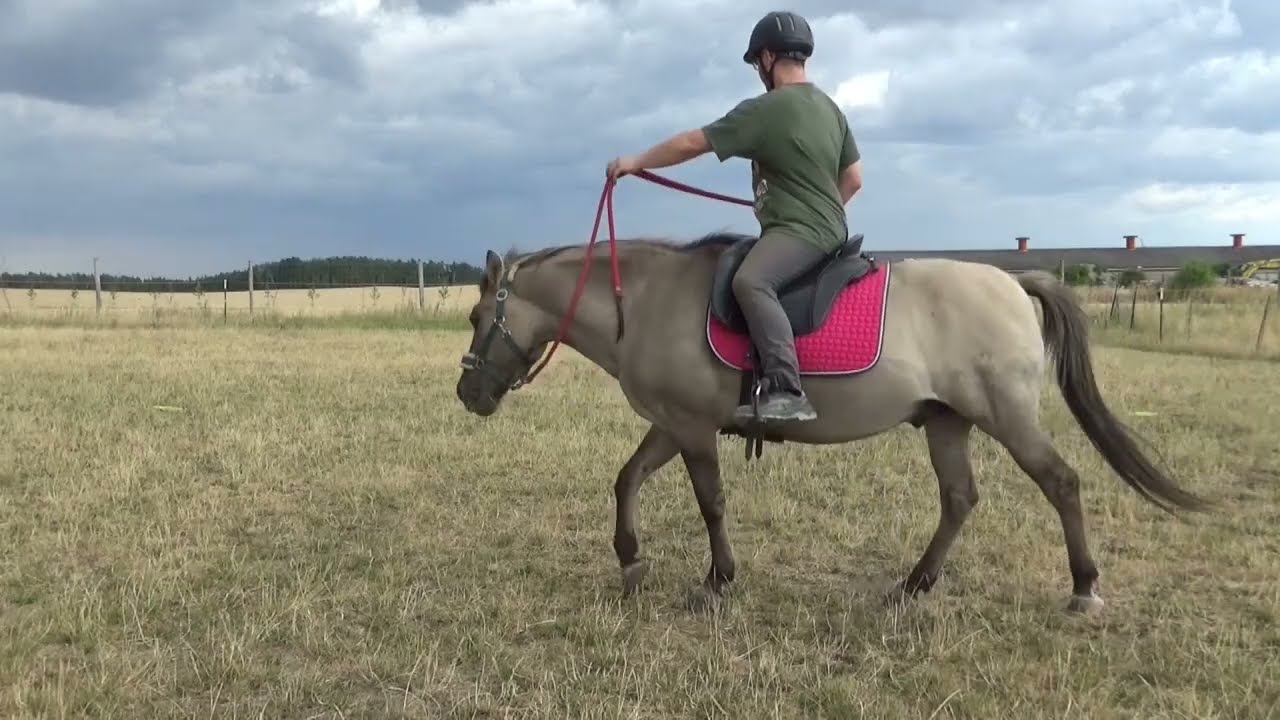 1-Zügel-Reiten mit Wotan, hamm jamm jamm