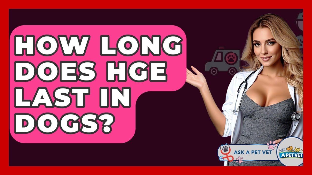 How Long Does HGE Last In Dogs? - Ask A Pet Vet
