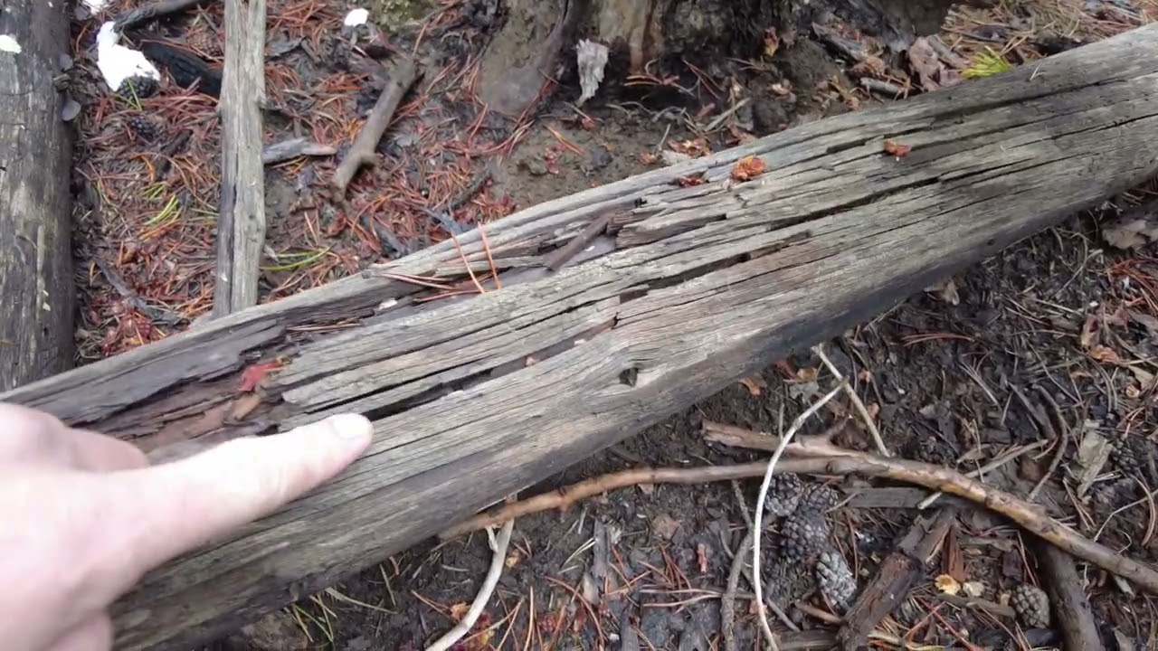 I found the exact spot where the Forrest Fenn treasure chest was hidden