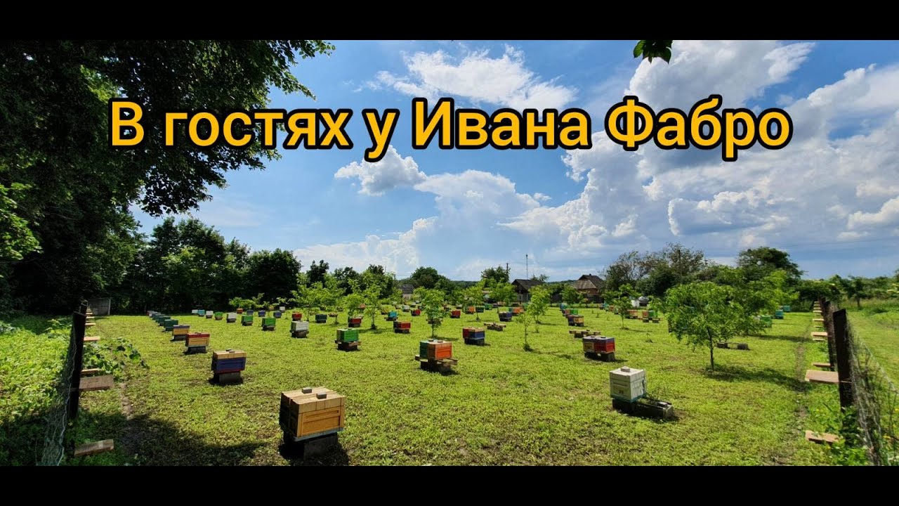 В гостях у Ивана Фабро 14.06.21