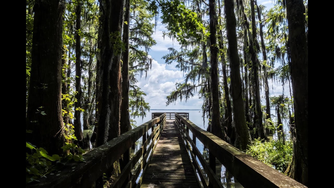 Exploring NC&rsquo;s Pettigrew State Park with TraveltoBlank