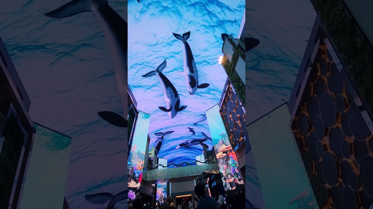 inspire resort ✨️ 인스파이어 오로라쇼