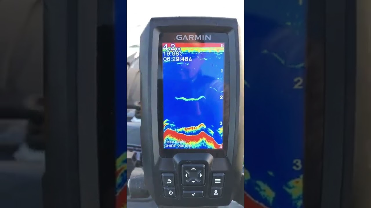 Tipos de peixes no sonar Garmin Striker 4 Plus