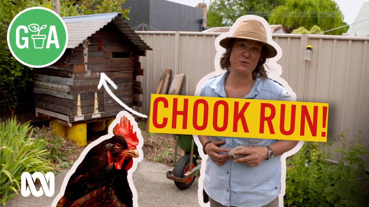 Build Your Own Chook Run! | DIY Garden Projects | Gardening Australia