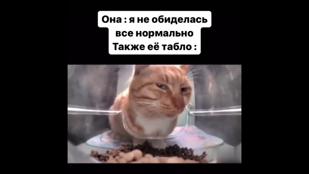 Best meme videos #memes #meme #мем #тикток #trenting