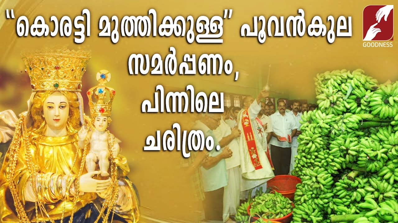 'കൊരട്ടി മുത്തിക്കുള്ള' പൂവൻകുല സമർപ്പണം, പിന്നിലെ ചരിത്രം. | FR. JOSE EDASSERY | GOODNESS TV |