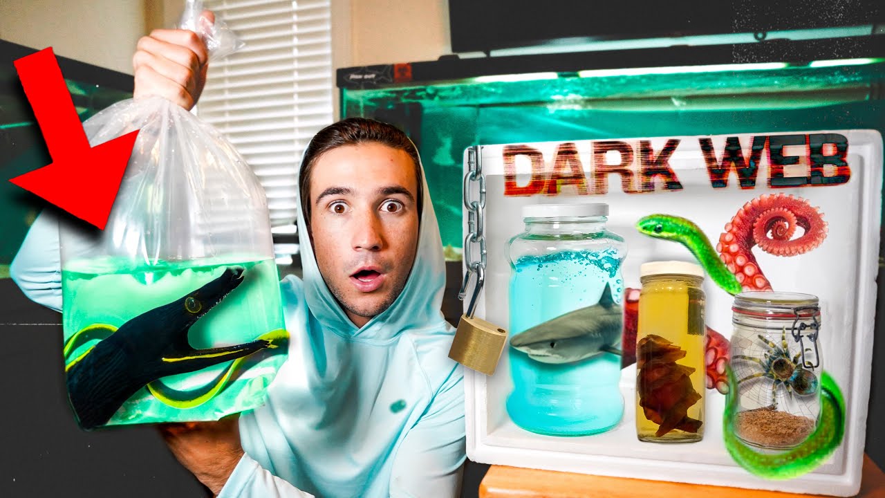 Ordering DARK WEB LIVE FISH Mystery Box... (ribbon eel)