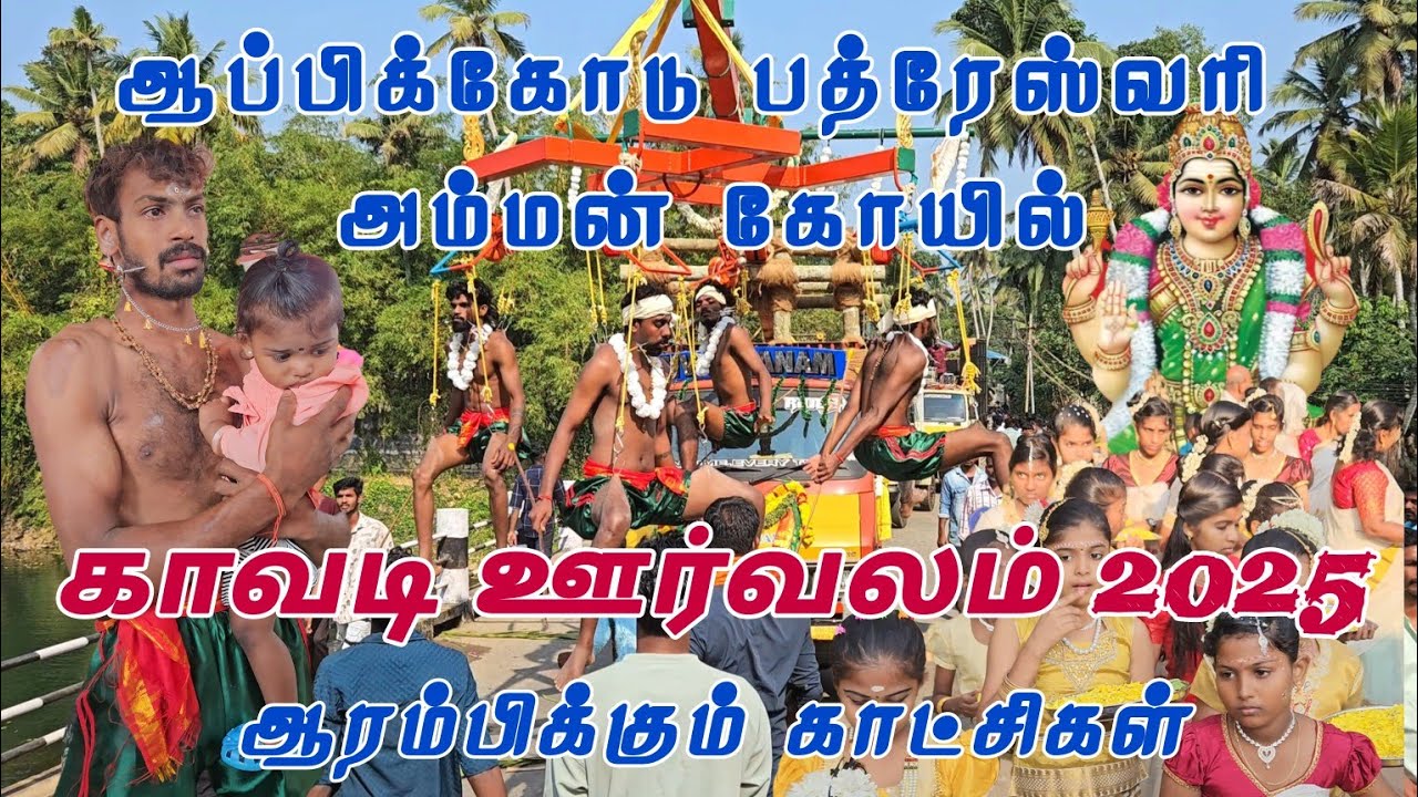 Appicode Temple Orvalam 2025 Part 2 | Sree Bhadreswari Amman Temple Appicode orvalam 2025 | Appicode